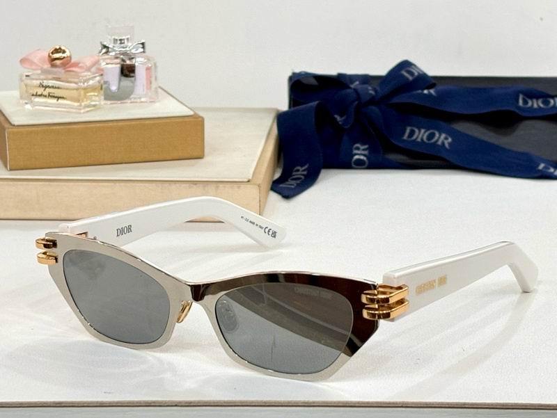 DIOR Sunglasses 360